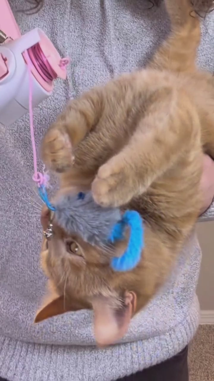 Interactive Electric Cat Teaser – Spin & Bounce Play