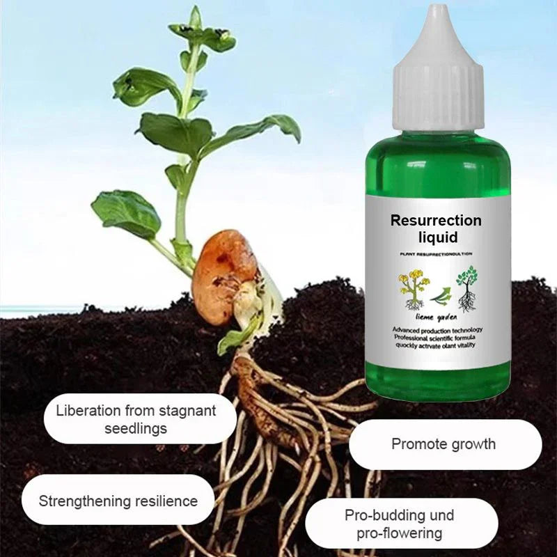 Plant resurrection liquid bottle by clarioy with seedling and root growth, promotes plant vitality.