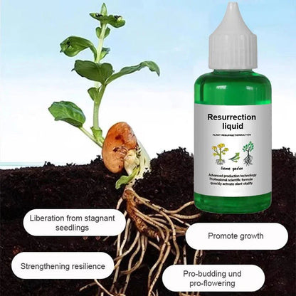 Plant resurrection liquid bottle by clarioy with seedling and root growth, promotes plant vitality.