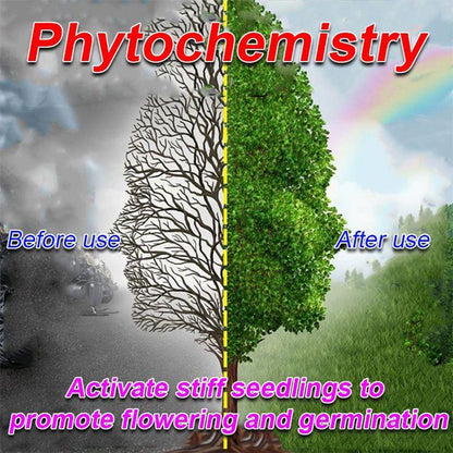 Phytochemistry plant growth effect comparison, before and after use, showing improved green foliage.