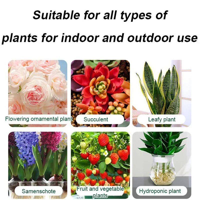 Collage showing flowering ornamental plant, succulent, leafy plant, bulbs, fruit and vegetable plants, and hydroponic plant for indoor and outdoor gardening, clarioy