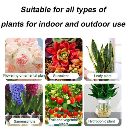 Collage showing flowering ornamental plant, succulent, leafy plant, bulbs, fruit and vegetable plants, and hydroponic plant for indoor and outdoor gardening, clarioy