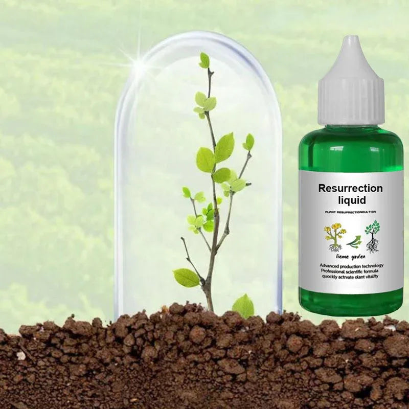 Green bottle of Resurrection Liquid plant solution beside a small growing plant in soil, clarioy homeware.