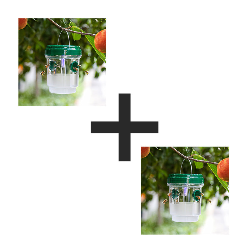 Solar Wasp Trap, Non-Toxic Round-the-Clock Pest Control