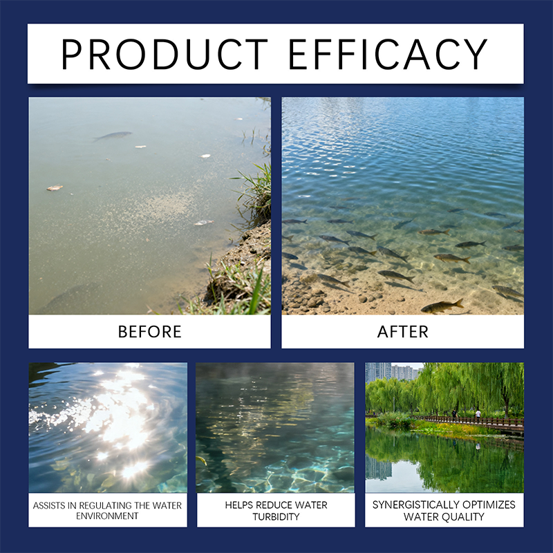 Crystal clear water, no harsh chemicals. Safe for fish, shrimp, crabs & shellfish