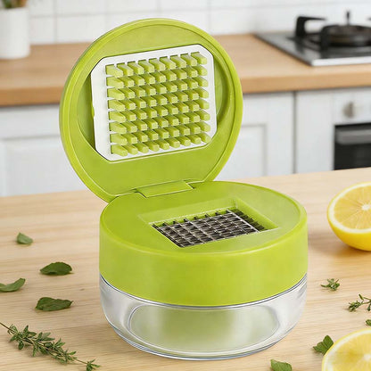 Mini Food Chopper And Garlic Press With Container